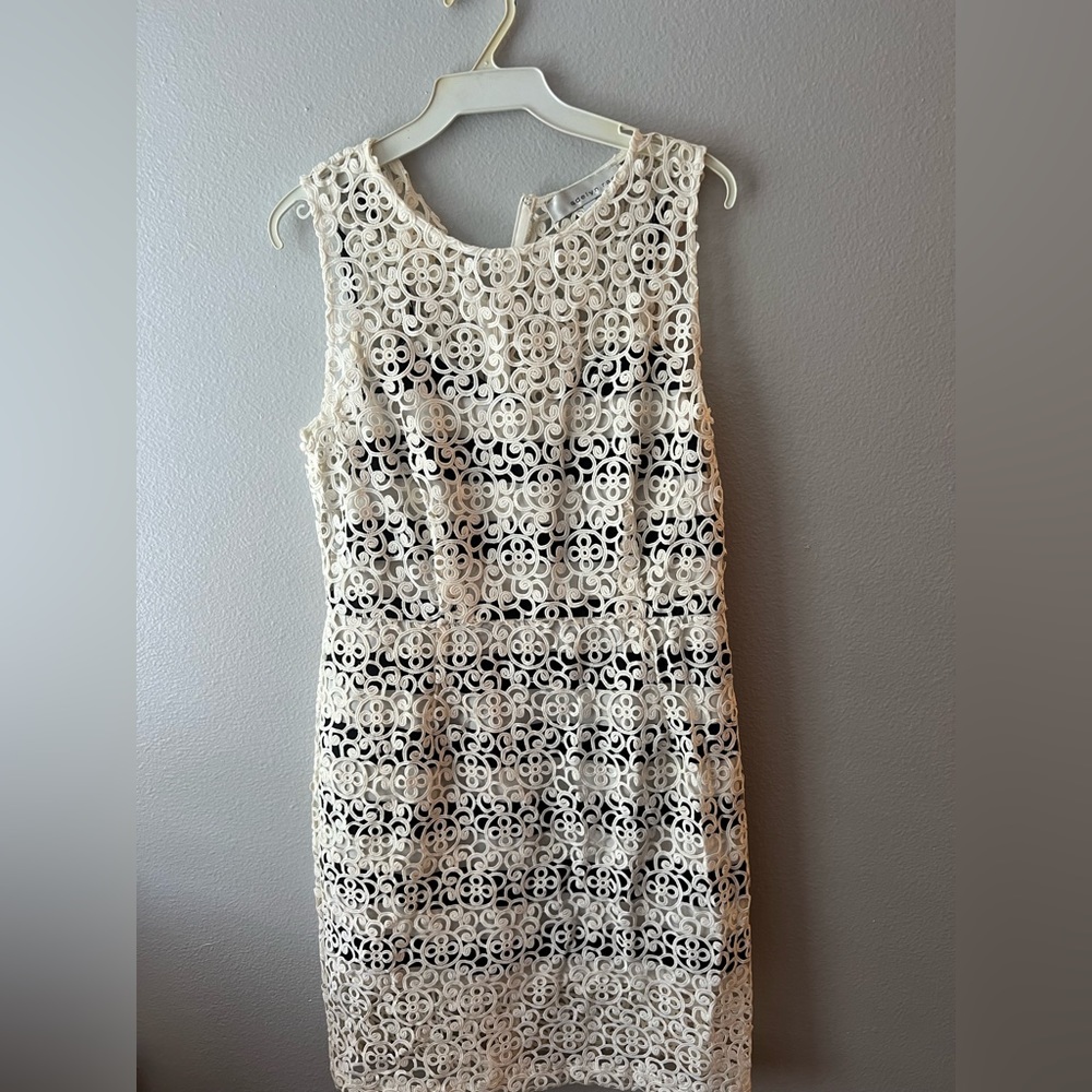 White lace with built in black and white stripe dress